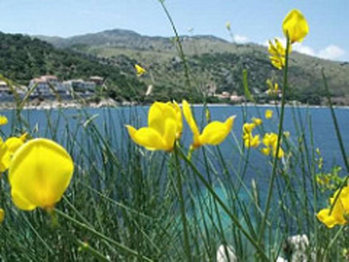 Imerolia Studios Kassiopi Exteriér fotografie